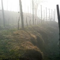 Cascina Piano Inverno